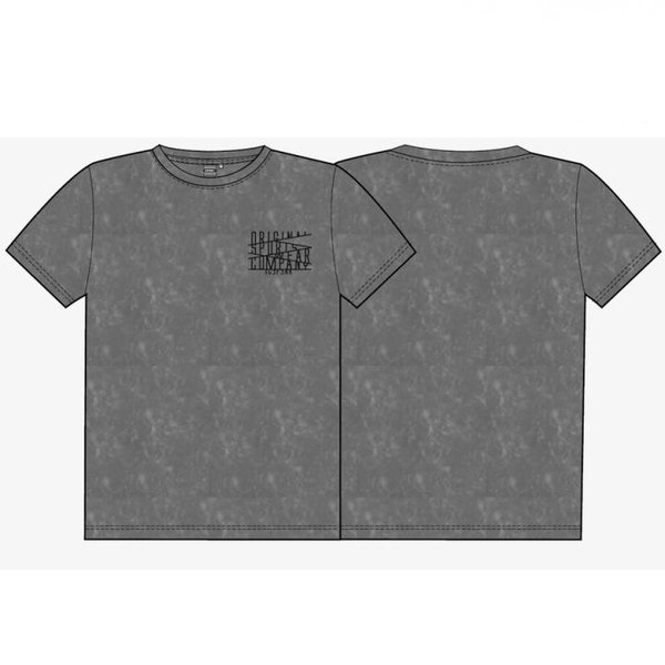 ICEPEAK - PRYS Shirt Herren T-Shirt Baumwolle - schwarz dunkelgrau