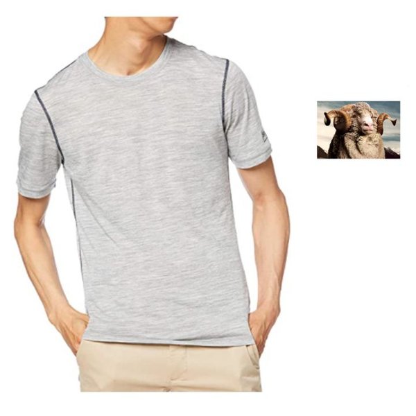 super.natural Dünnes Herren Kurzarm T-Shirt, Mit Merinowolle, grau