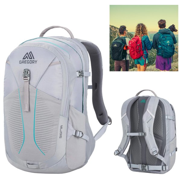 Gregory - Rucksack Sigma 28 - komfortabler Daybag mit vielen Raffinessen - grau