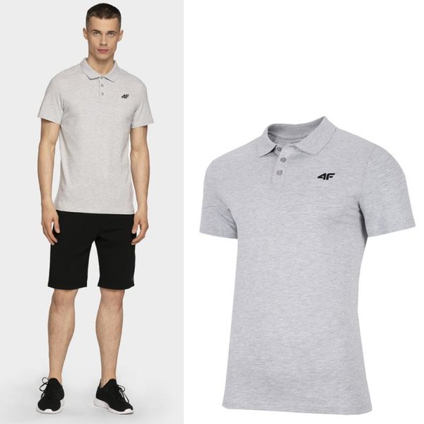 4F - Herren Poloshirt 4DRY - grau